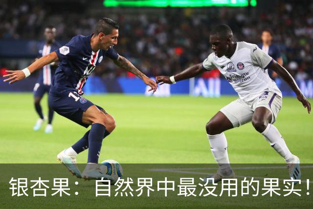 银杏果：自然界中最没用的果实！结果再多也一样沦为保护植物