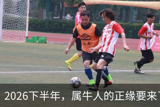 2026下半年，属牛人的正缘要来了，这两个月最关键！